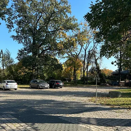 9 * Rydzyna